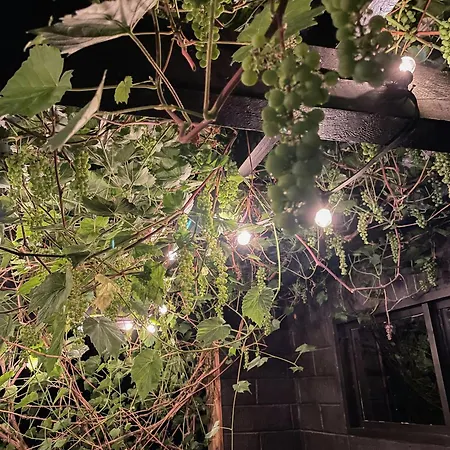 Summer House Charm Near The And Rageleje *